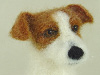 Needle felted figurine of Casper ther Jack Russell terrier