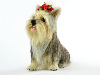 Lulu the Yorkshire Terrier needle felted