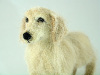 Golden Retriever, needle felted (click for more)