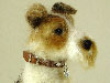 Randolph the Wirehaired Fox Terrier needle felted by Olga Timofeevski